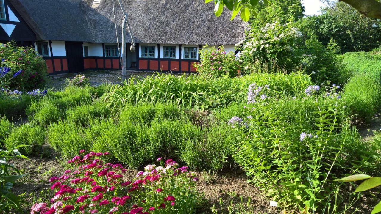 Thurup Hus Assens Exterior foto